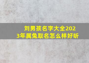 刘男孩名字大全2023年属兔取名怎么样好听