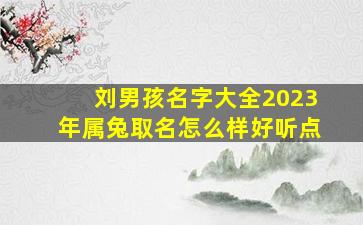 刘男孩名字大全2023年属兔取名怎么样好听点