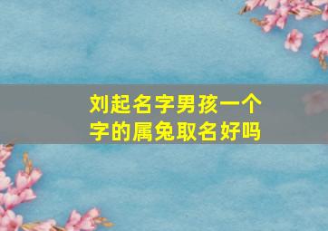 刘起名字男孩一个字的属兔取名好吗