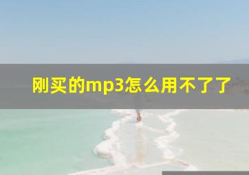 刚买的mp3怎么用不了了