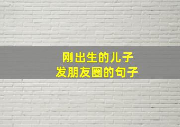 刚出生的儿子发朋友圈的句子