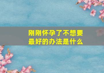 刚刚怀孕了不想要最好的办法是什么