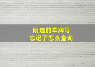 刚选的车牌号忘记了怎么查询