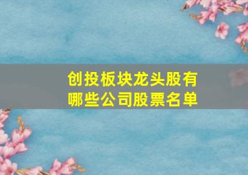 创投板块龙头股有哪些公司股票名单