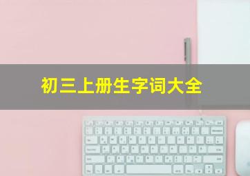 初三上册生字词大全