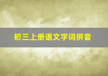 初三上册语文字词拼音