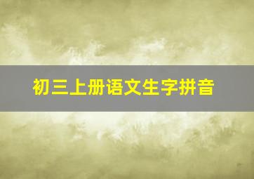 初三上册语文生字拼音