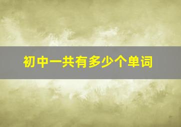 初中一共有多少个单词