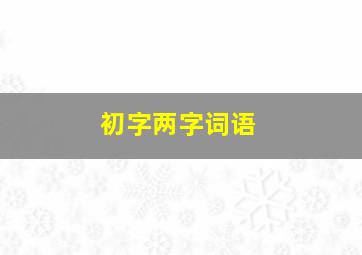 初字两字词语