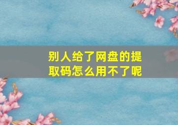 别人给了网盘的提取码怎么用不了呢