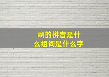 剩的拼音是什么组词是什么字