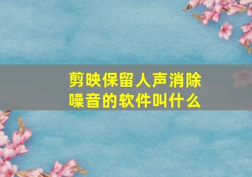 剪映保留人声消除噪音的软件叫什么