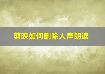 剪映如何删除人声朗读