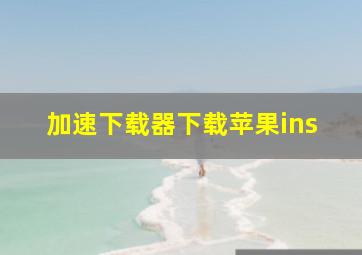 加速下载器下载苹果ins