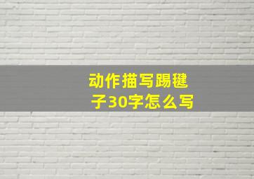 动作描写踢毽子30字怎么写