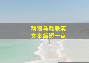 动物马戏表演文案简短一点