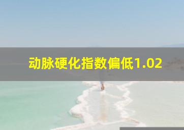 动脉硬化指数偏低1.02