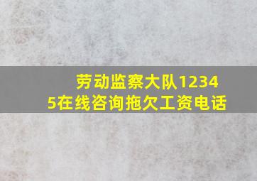 劳动监察大队12345在线咨询拖欠工资电话