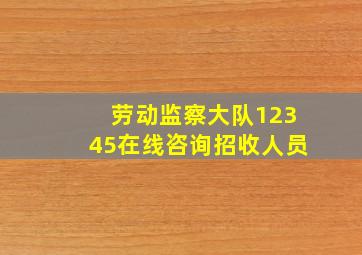 劳动监察大队12345在线咨询招收人员