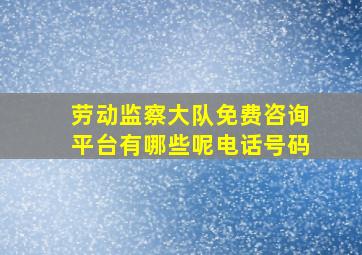 劳动监察大队免费咨询平台有哪些呢电话号码