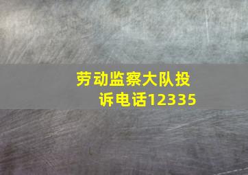 劳动监察大队投诉电话12335