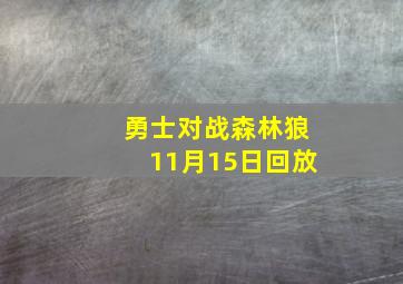 勇士对战森林狼11月15日回放