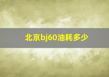 北京bj60油耗多少