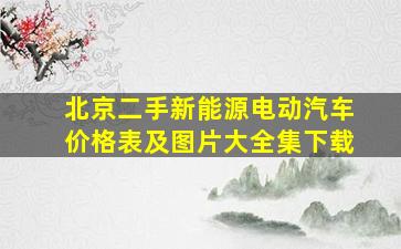 北京二手新能源电动汽车价格表及图片大全集下载