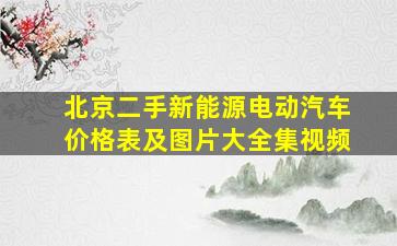 北京二手新能源电动汽车价格表及图片大全集视频