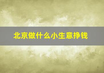 北京做什么小生意挣钱