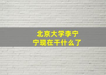 北京大学李宁宁现在干什么了