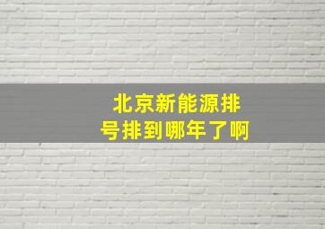 北京新能源排号排到哪年了啊