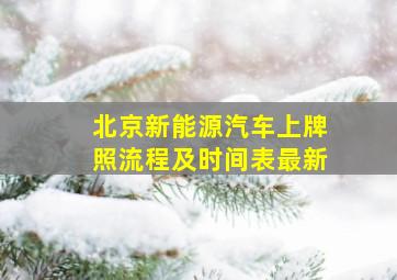 北京新能源汽车上牌照流程及时间表最新