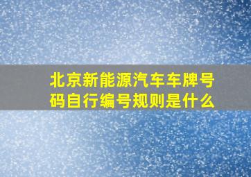 北京新能源汽车车牌号码自行编号规则是什么