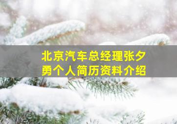 北京汽车总经理张夕勇个人简历资料介绍