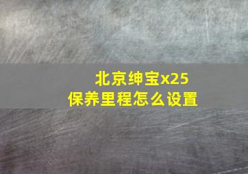 北京绅宝x25保养里程怎么设置