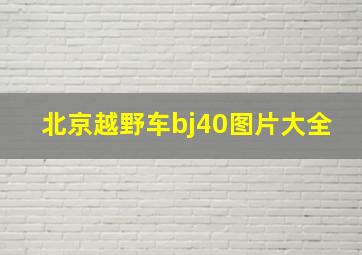 北京越野车bj40图片大全