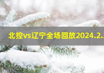 北控vs辽宁全场回放2024.2.2