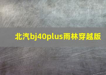 北汽bj40plus雨林穿越版