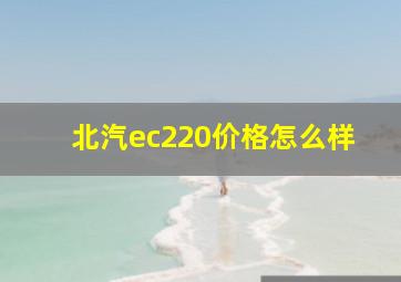 北汽ec220价格怎么样