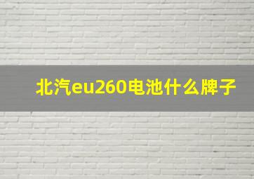 北汽eu260电池什么牌子