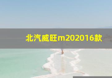 北汽威旺m202016款