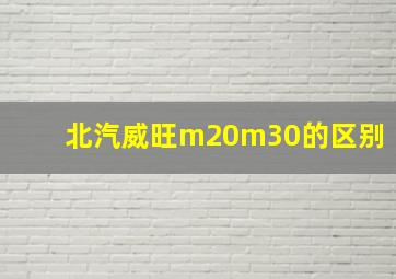 北汽威旺m20m30的区别