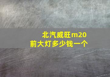 北汽威旺m20前大灯多少钱一个