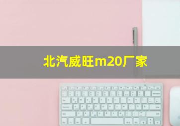 北汽威旺m20厂家