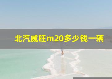 北汽威旺m20多少钱一辆