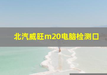 北汽威旺m20电脑检测口