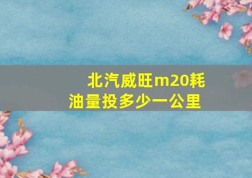 北汽威旺m20耗油量投多少一公里