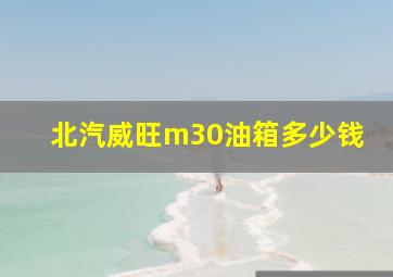 北汽威旺m30油箱多少钱