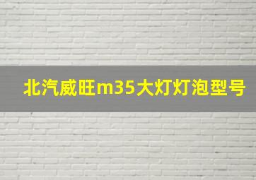 北汽威旺m35大灯灯泡型号